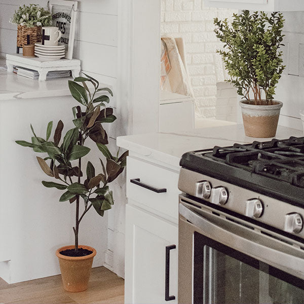 41" Tall Potted Faux Magnolia Sapling