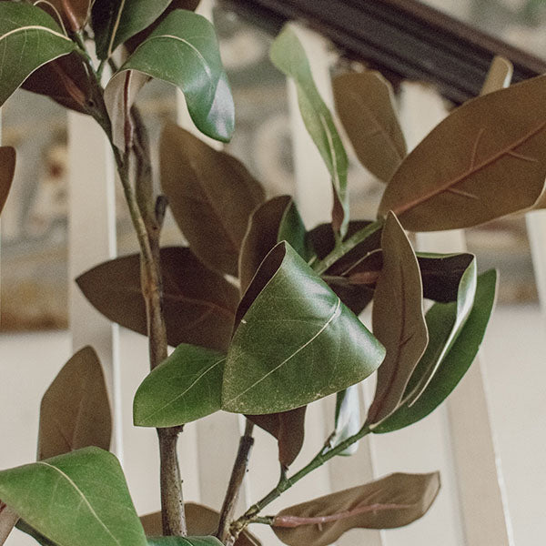 41" Tall Potted Faux Magnolia Sapling
