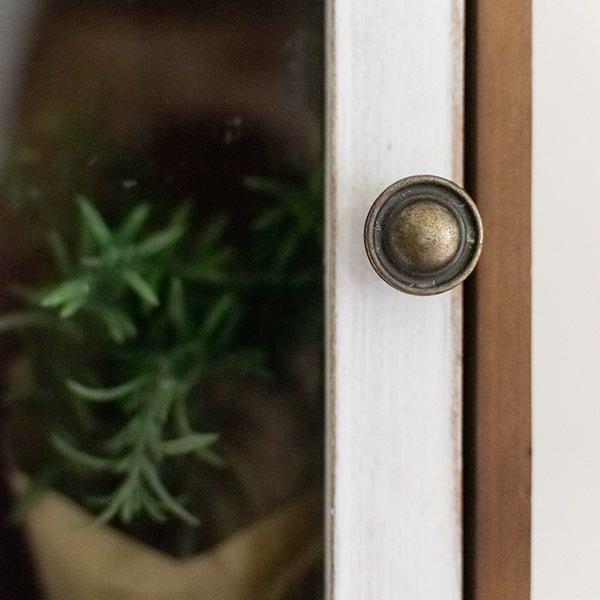 Two-Toned Wall Storage Cabinet with Hooks