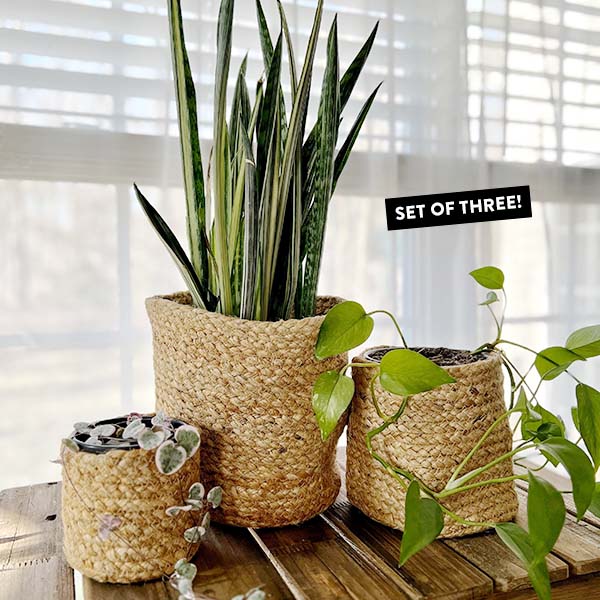 Jute Storage Planters, Set of 3