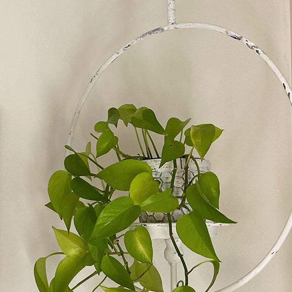 Hanging Halo Candle Stand