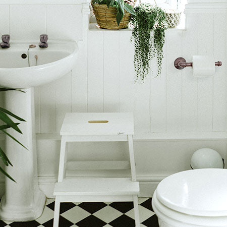 Cast Iron Toilet Paper Holder