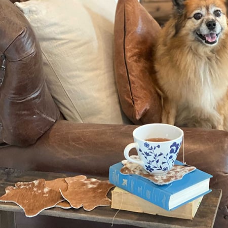 Artisan Made Cow Hide Coasters, Set of 4