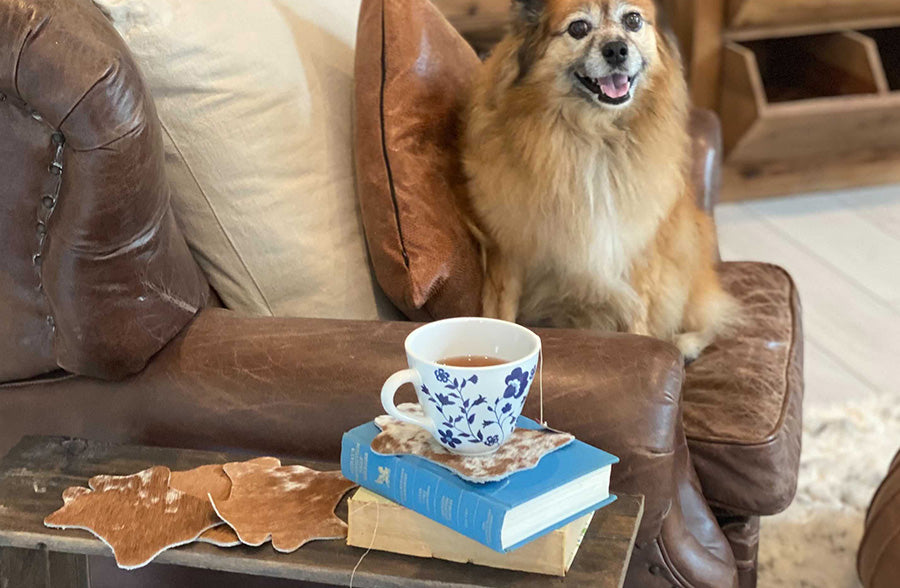 Artisan Made Cow Hide Coasters, Set of 4