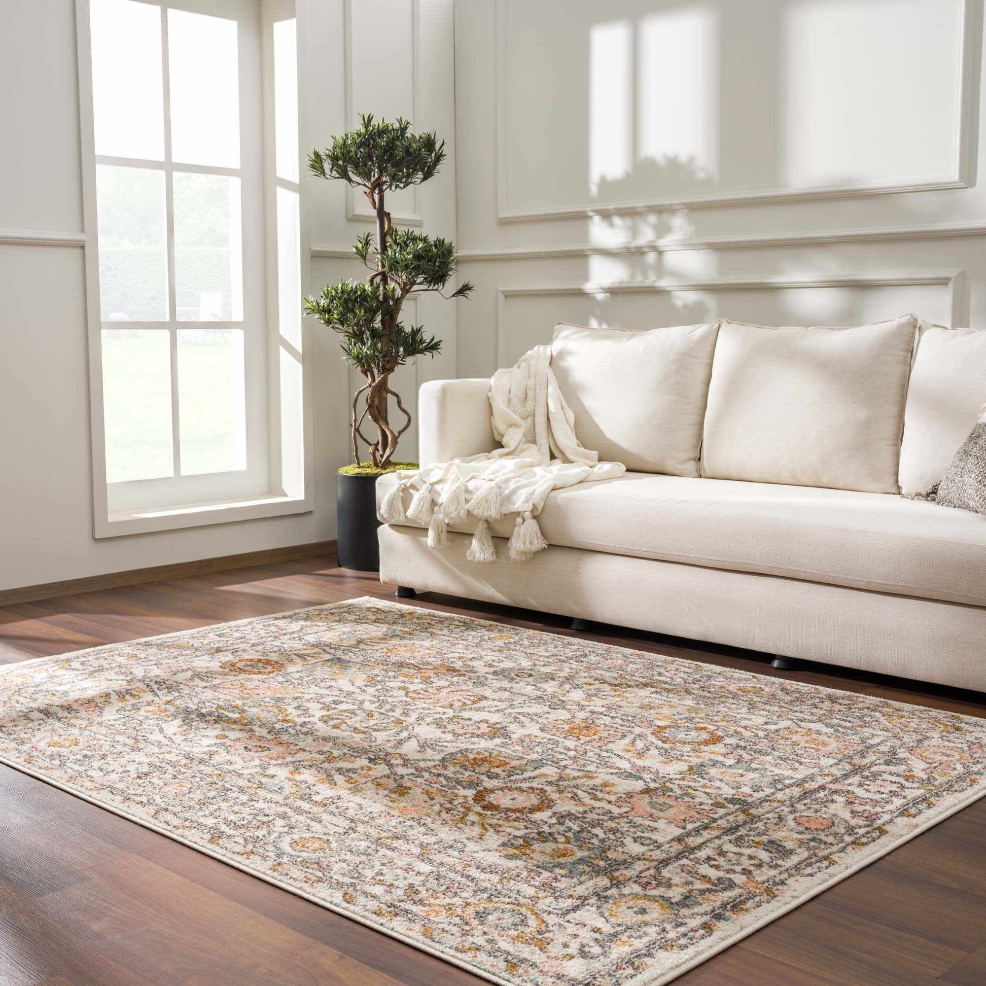 Multi-Color Traditional Area Rug