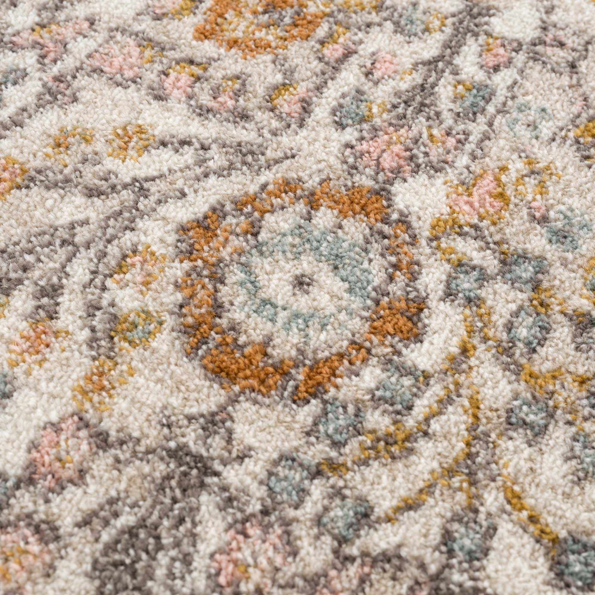 Multi-Color Traditional Area Rug