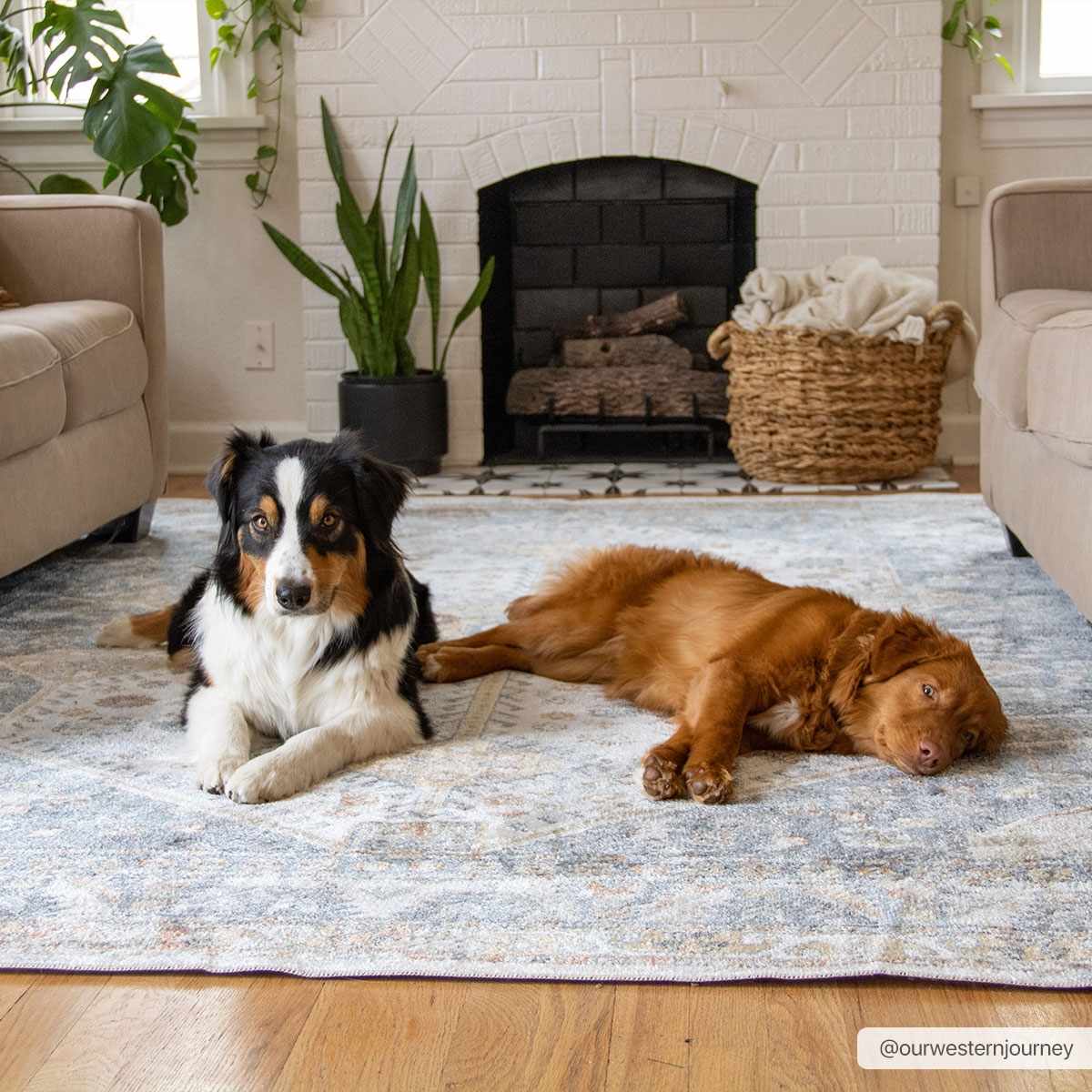 Southwestern Washable Area Rug