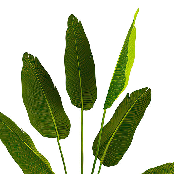 63 Inch Faux Indoor Potted Banana Tree