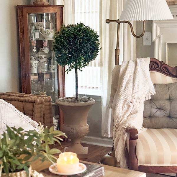 Eugenia 1 Ball Topiary