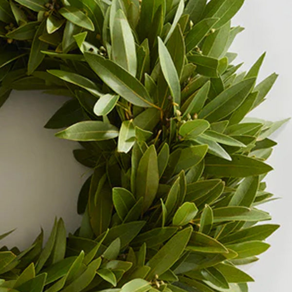 Lush Culinary Wreath with Hanger | Made in the USA