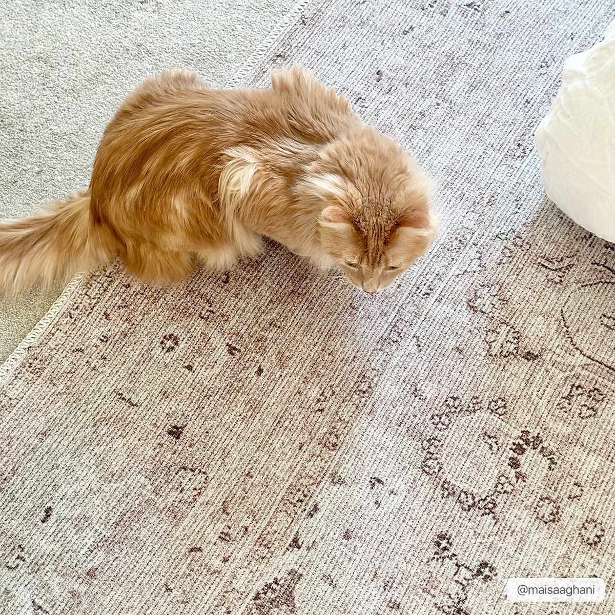 Multi-Color Patterned Washable Area Rug