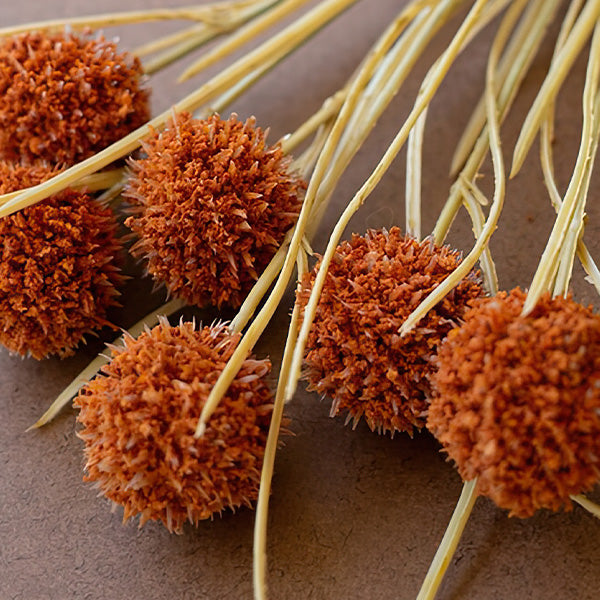 Faux Ball Orange Flower Stems, Set of Six