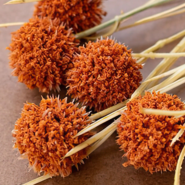 Faux Ball Orange Flower Stems, Set of Six