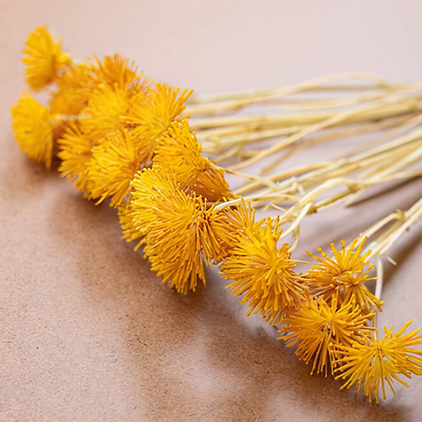 Faux Mini Yellow Flower Stems, Set of Six