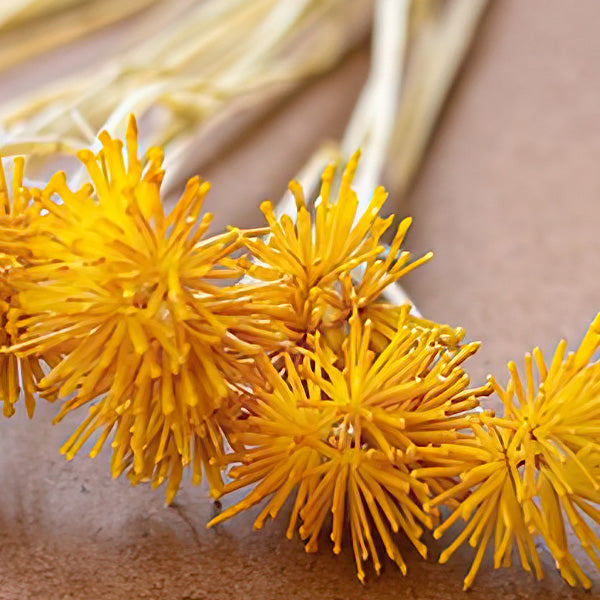 Faux Mini Yellow Flower Stems, Set of Six