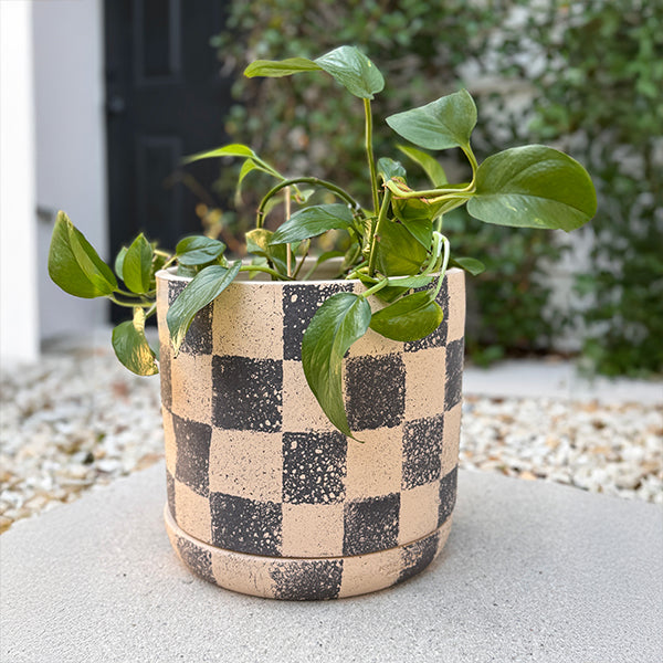 Checkered Clay Cylinder Planters, Set of Three, Choose Your Style