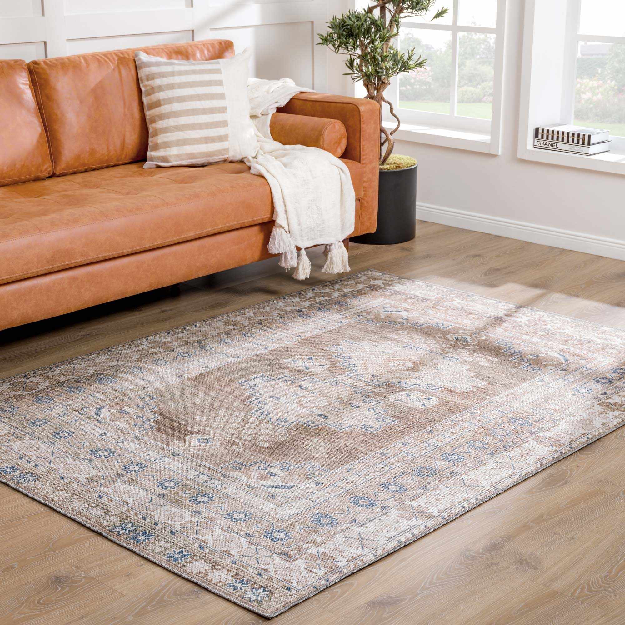 Bohemian Area Rug