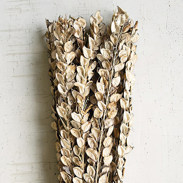 Cotton Petal Stems, Set of 6 Bundles