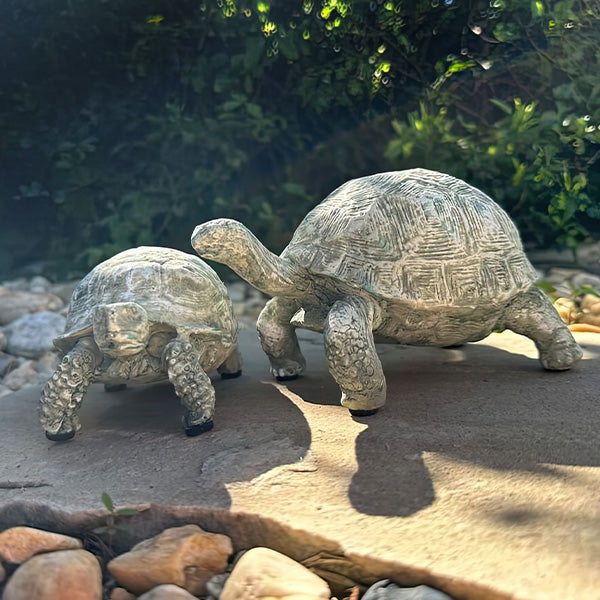 Curious Turtle Statues, Set of 2