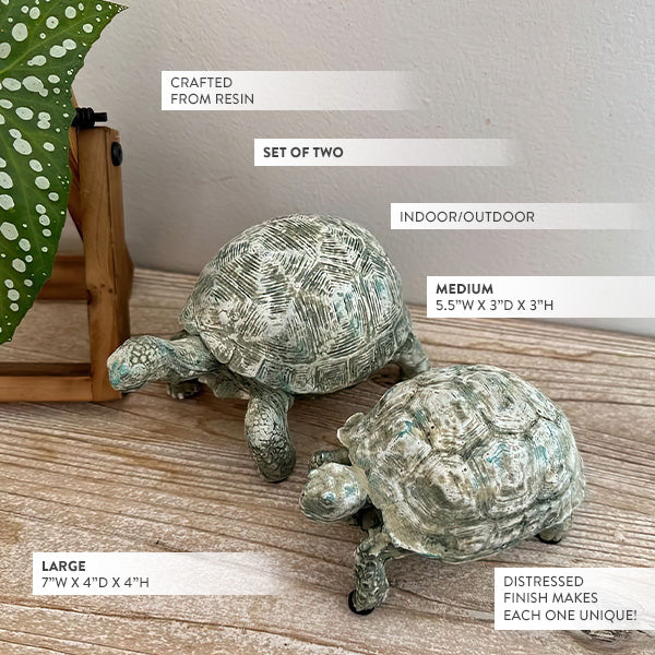 Curious Turtle Statues, Set of 2