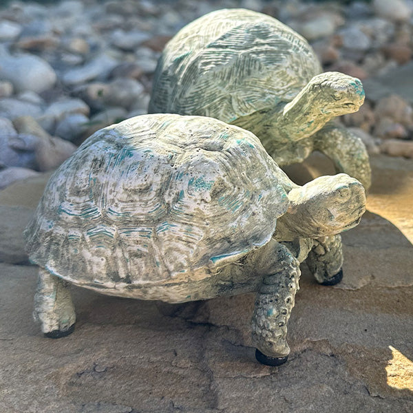Curious Turtle Statues, Set of 2