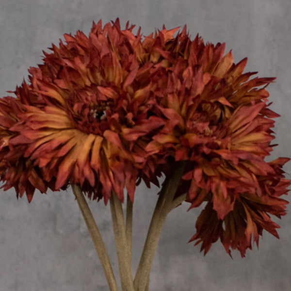 Burnt Orange Daisy Spray, Set of 3