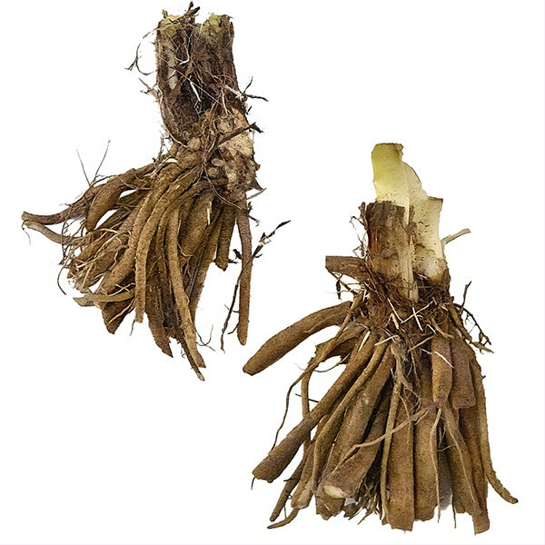 Bare Root Daylilies, Choose Your Plant Style