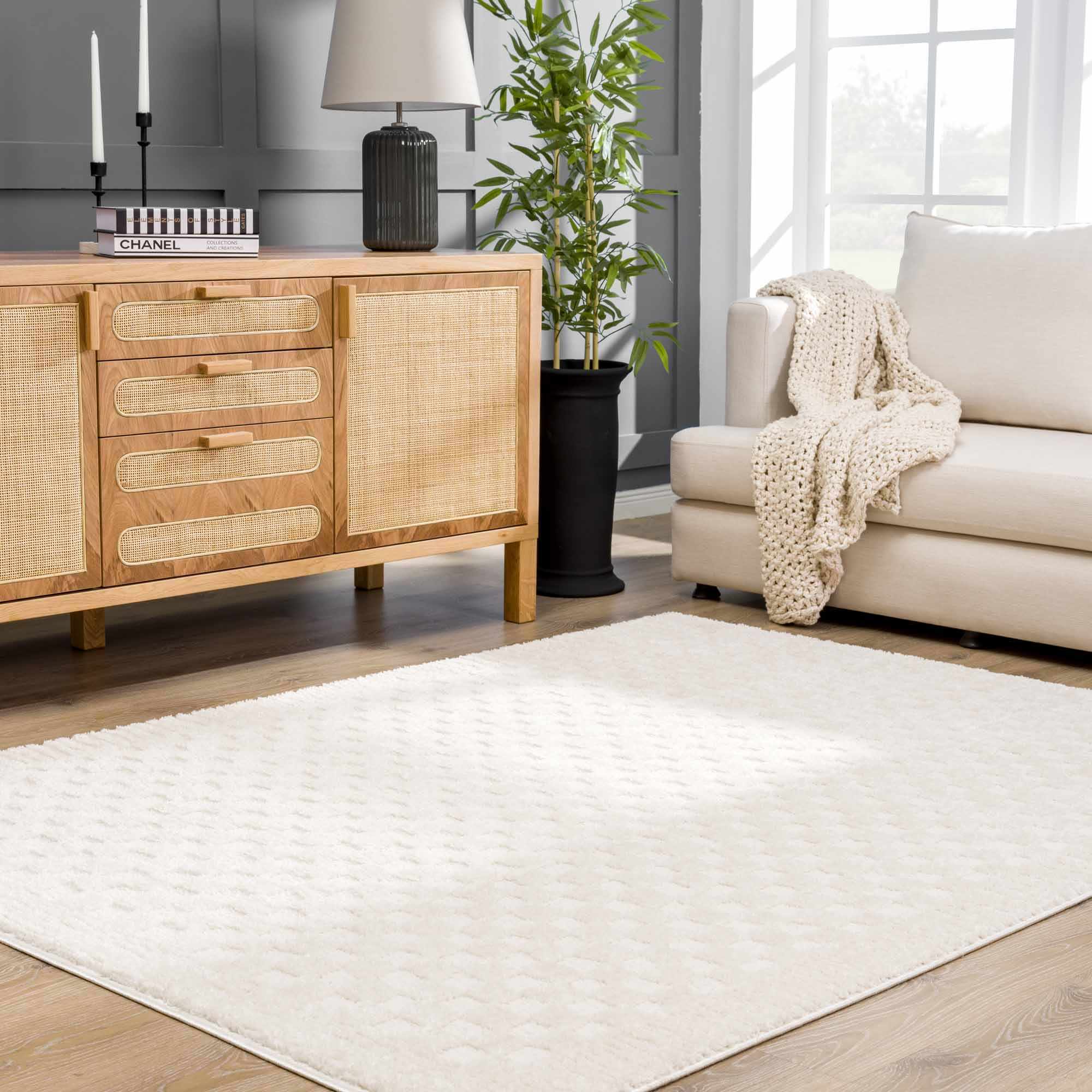 Ivory Area Rug