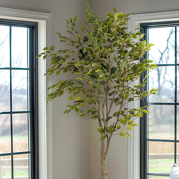 6 Foot Ficus Indoor Faux Tree in Black Pot