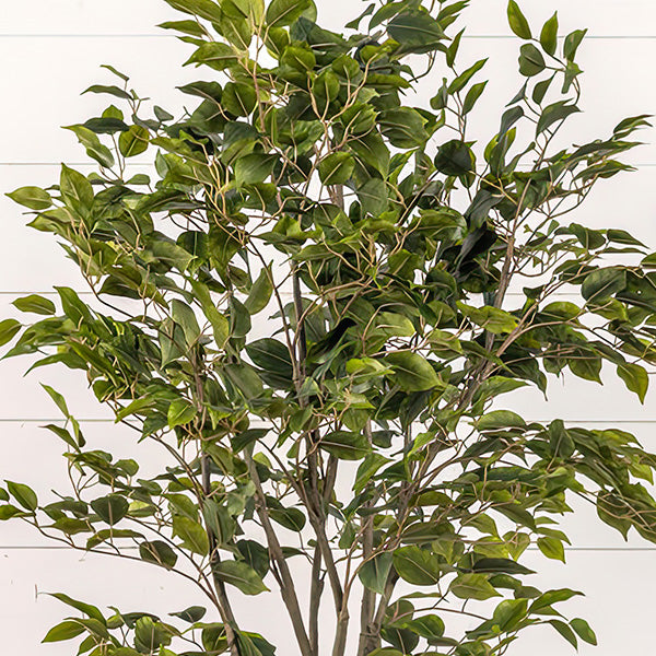6 Foot Ficus Indoor Faux Tree in Black Pot