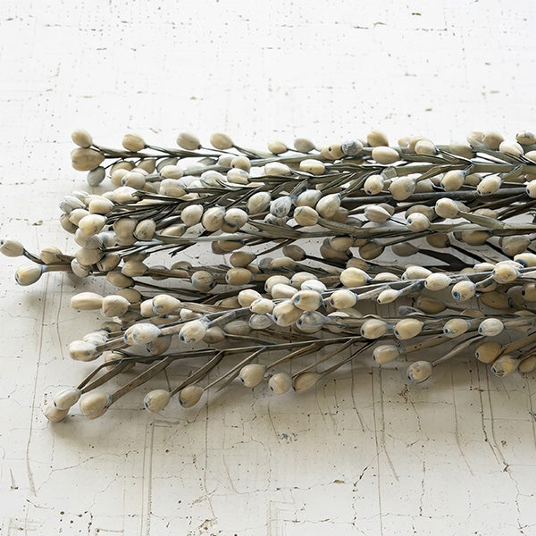 Dried Moti Sticks, Set of 6 Bundles