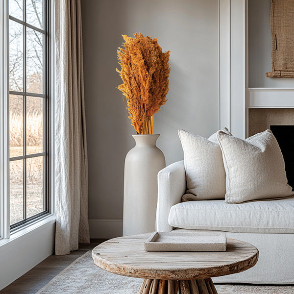 Auburn Pampas Grass, Set of 4 Bundles