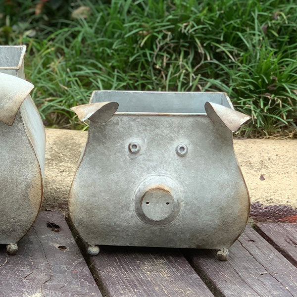 Galvanized Piggy Metal Planters, Set of 2