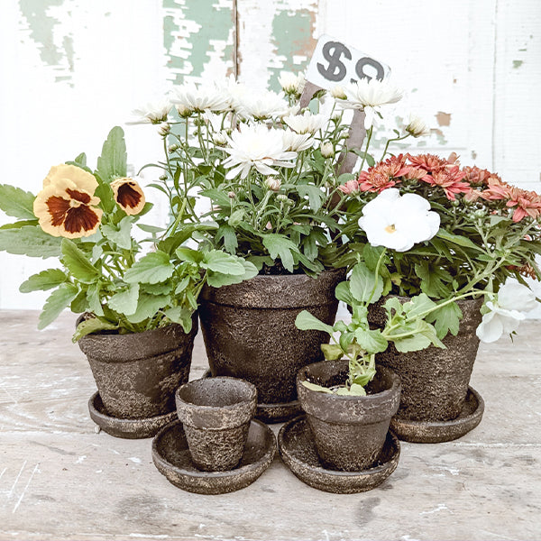 Dark Gray Terracotta Indoor/Outdoor Planters, Set of 5