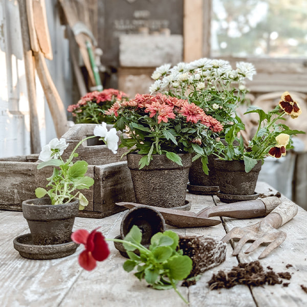 Dark Gray Terracotta Indoor/Outdoor Planters, Set of 5