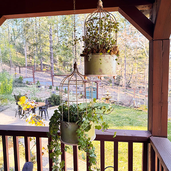 Hanging Metal Rustic Birdcage Planter, Set of Two