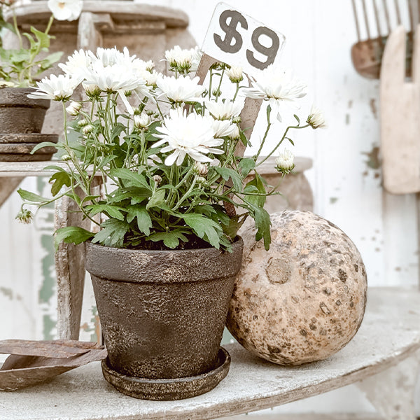 Dark Gray Terracotta Indoor/Outdoor Planters, Set of 5