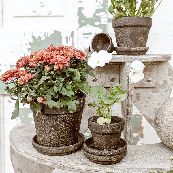 Dark Gray Terracotta Indoor/Outdoor Planters, Set of 5