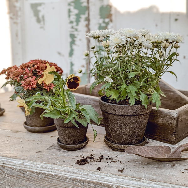 Dark Gray Terracotta Indoor/Outdoor Planters, Set of 5