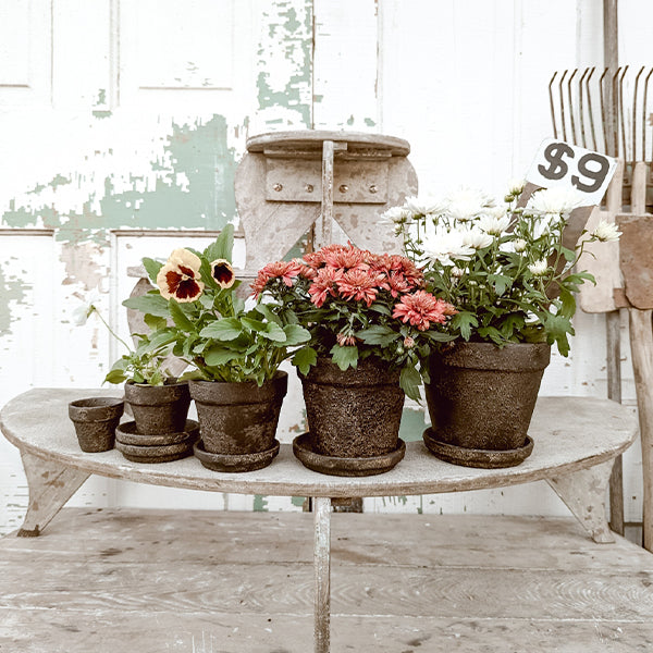 Dark Gray Terracotta Indoor/Outdoor Planters, Set of 5