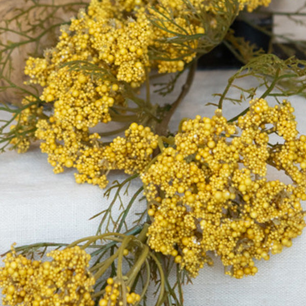Queen Anne Lace Garland