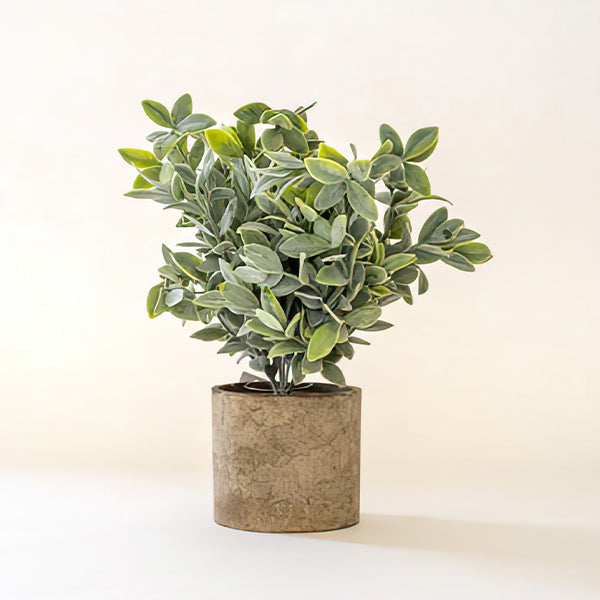 Lifelike Sage Bush in Recycled Pot