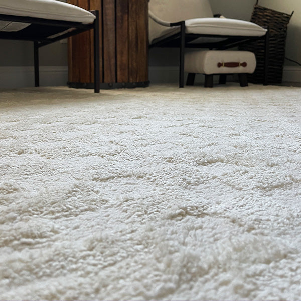 Ivory Area Rug