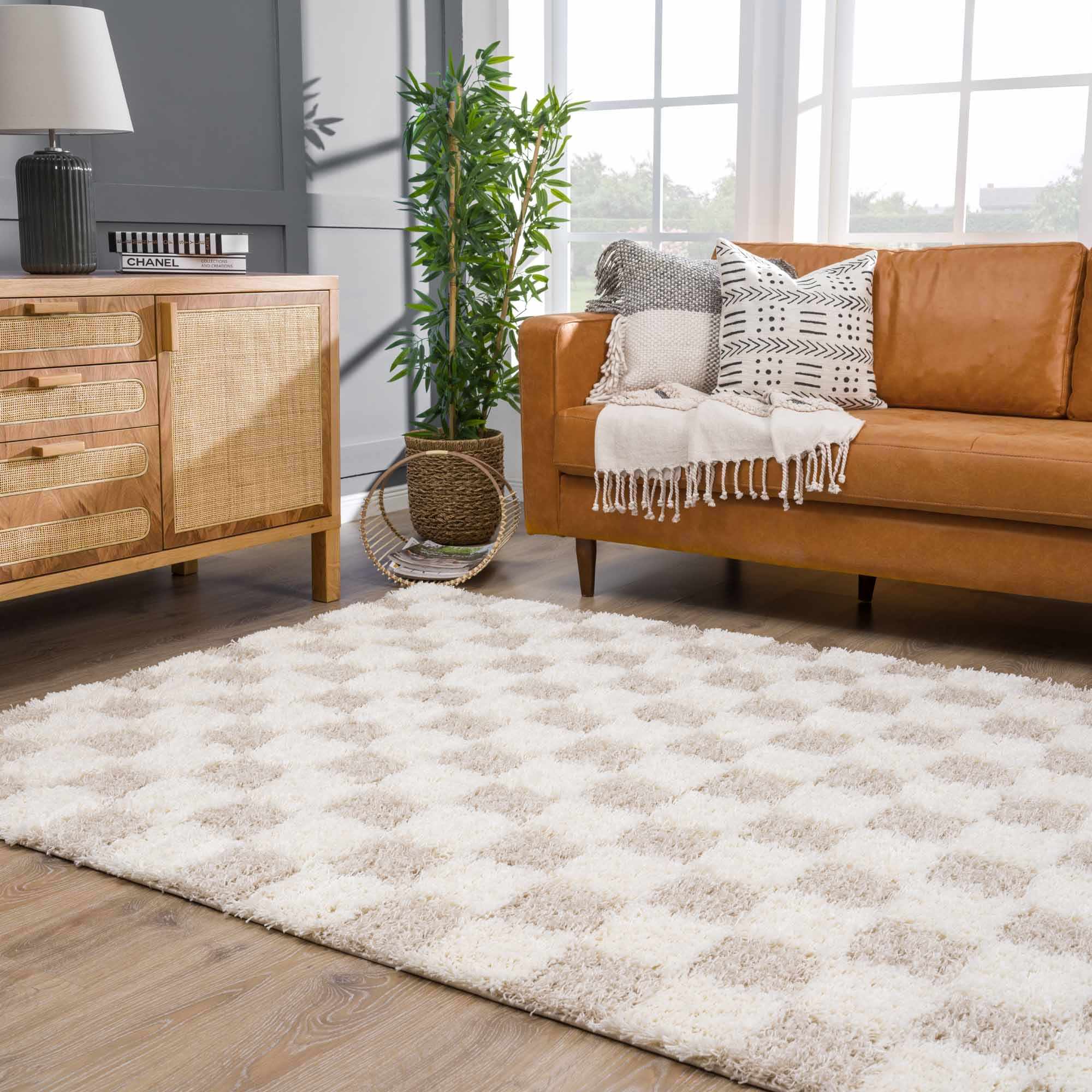 Neutral Checkered Area Rug