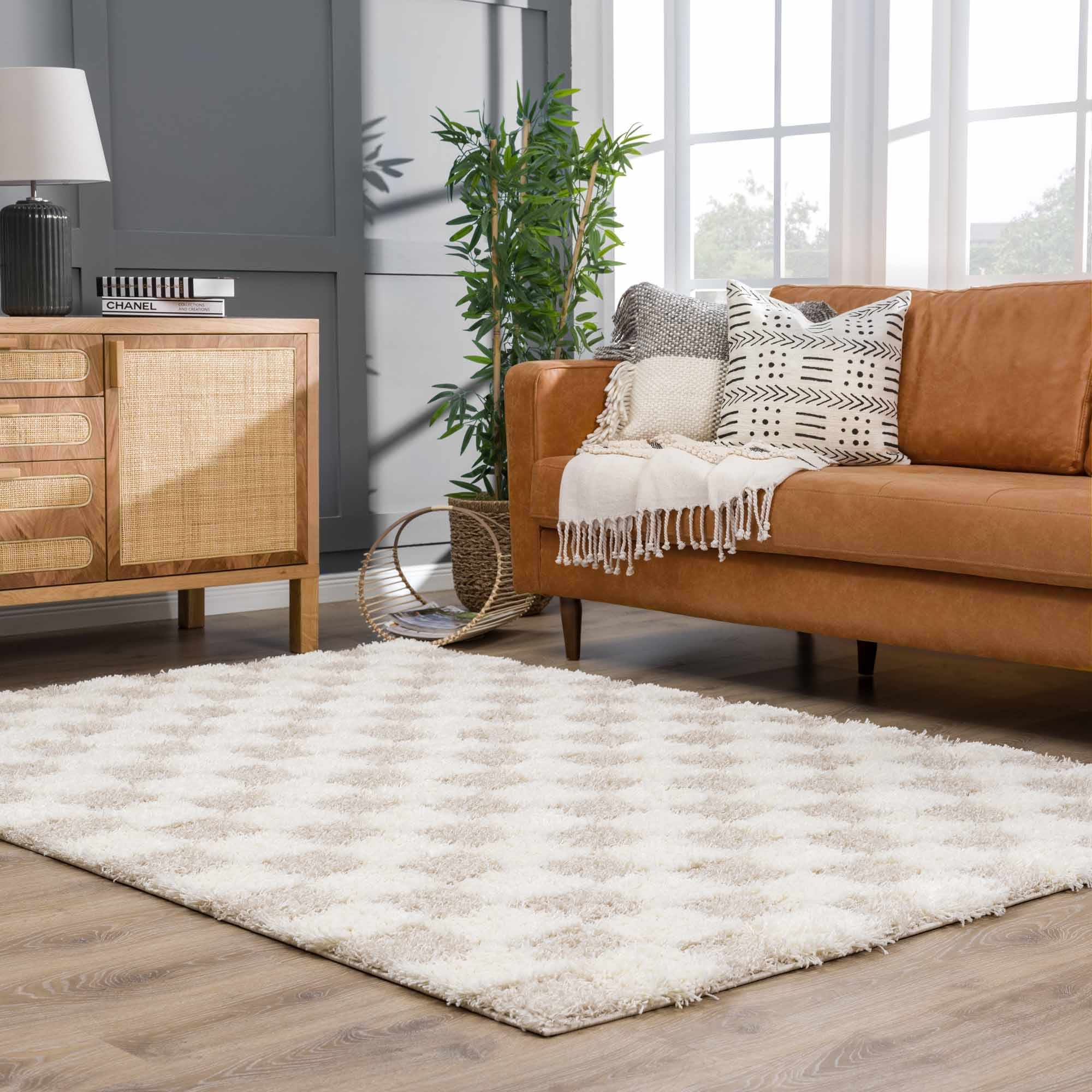 Neutral Checkered Area Rug