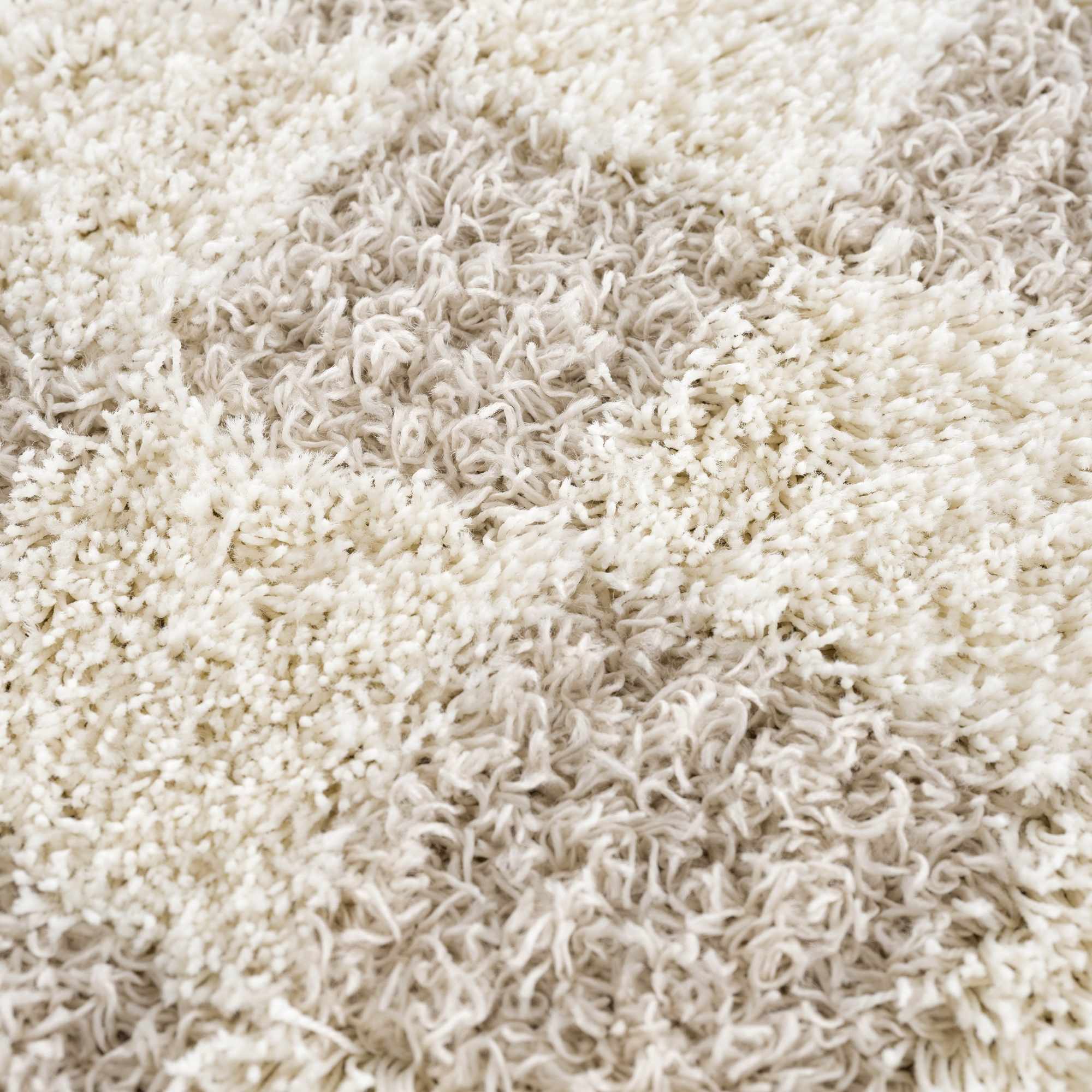 Neutral Checkered Area Rug