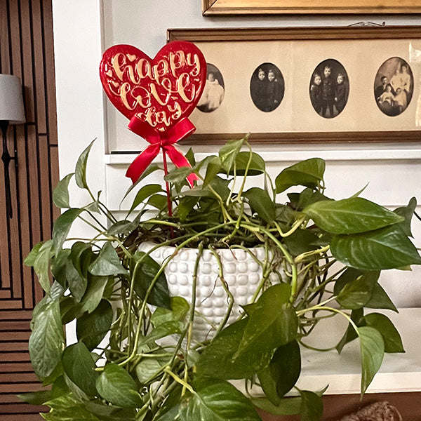 Valentine's Day Metal Outdoor Yard Stakes, Set of Two