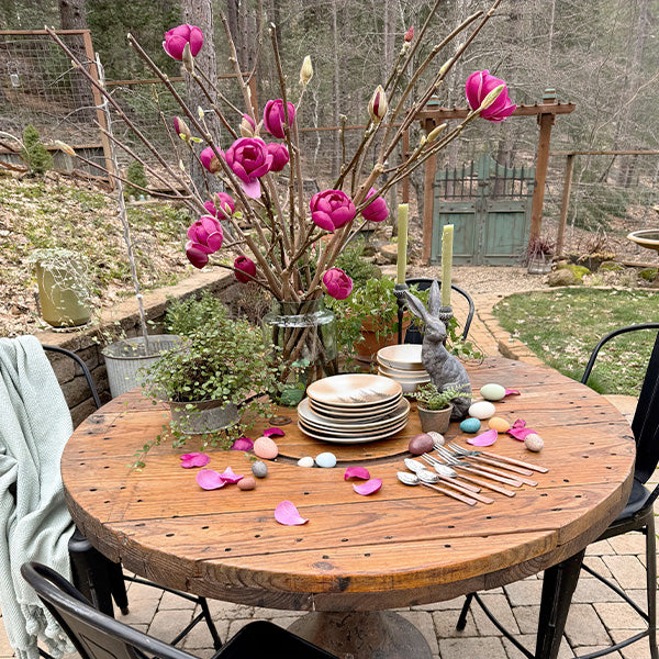 3-4 Feet Live Tulip Magnolia Flower Tree Branches