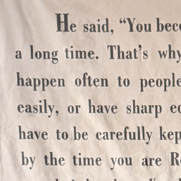 57 Inch "The Velveteen Rabbit" Hanging Wall Canvas