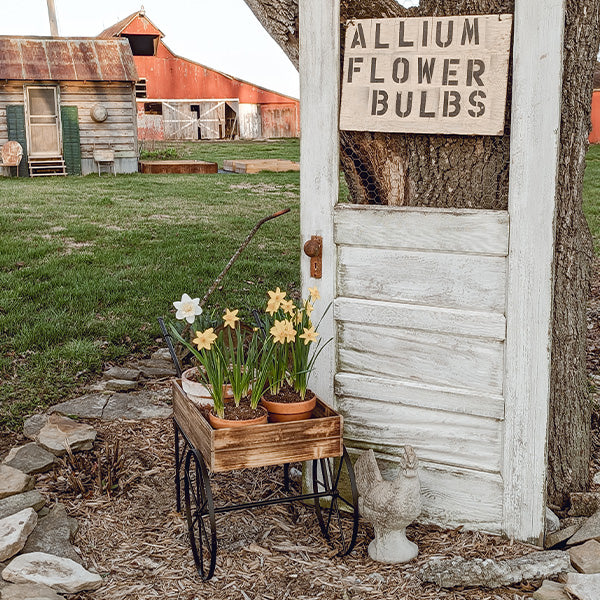 Vintage Inspired Flower Garden Cart Wagon